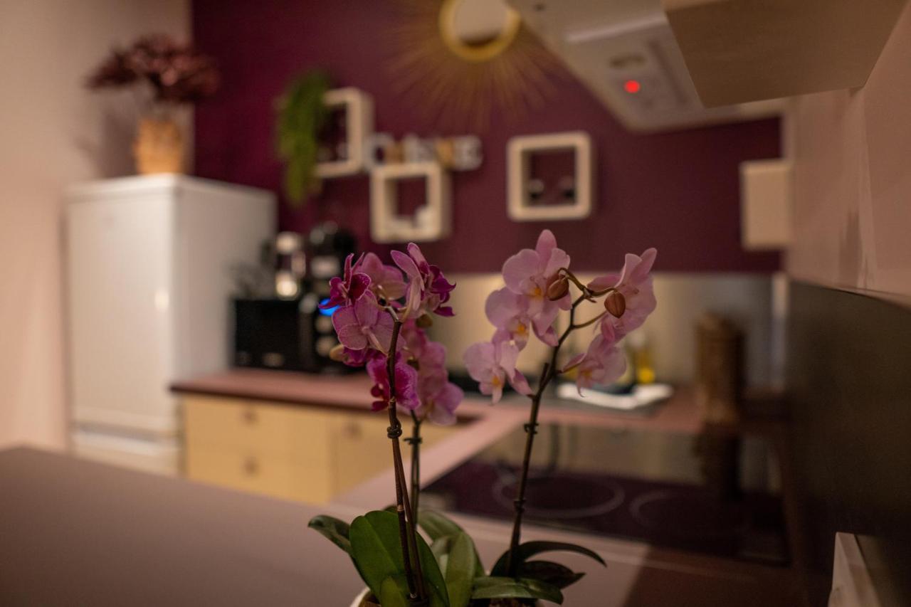 Studio Coeur De Ville Sanary Tres Cosy Parking Sanary-sur-Mer Exterior foto